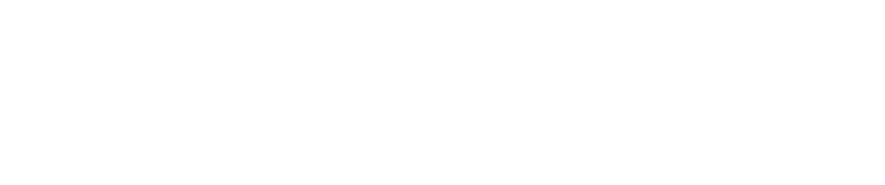 Neelami Logo