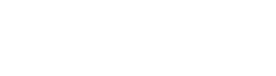Neelami Logo