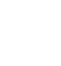 Neelami Logo